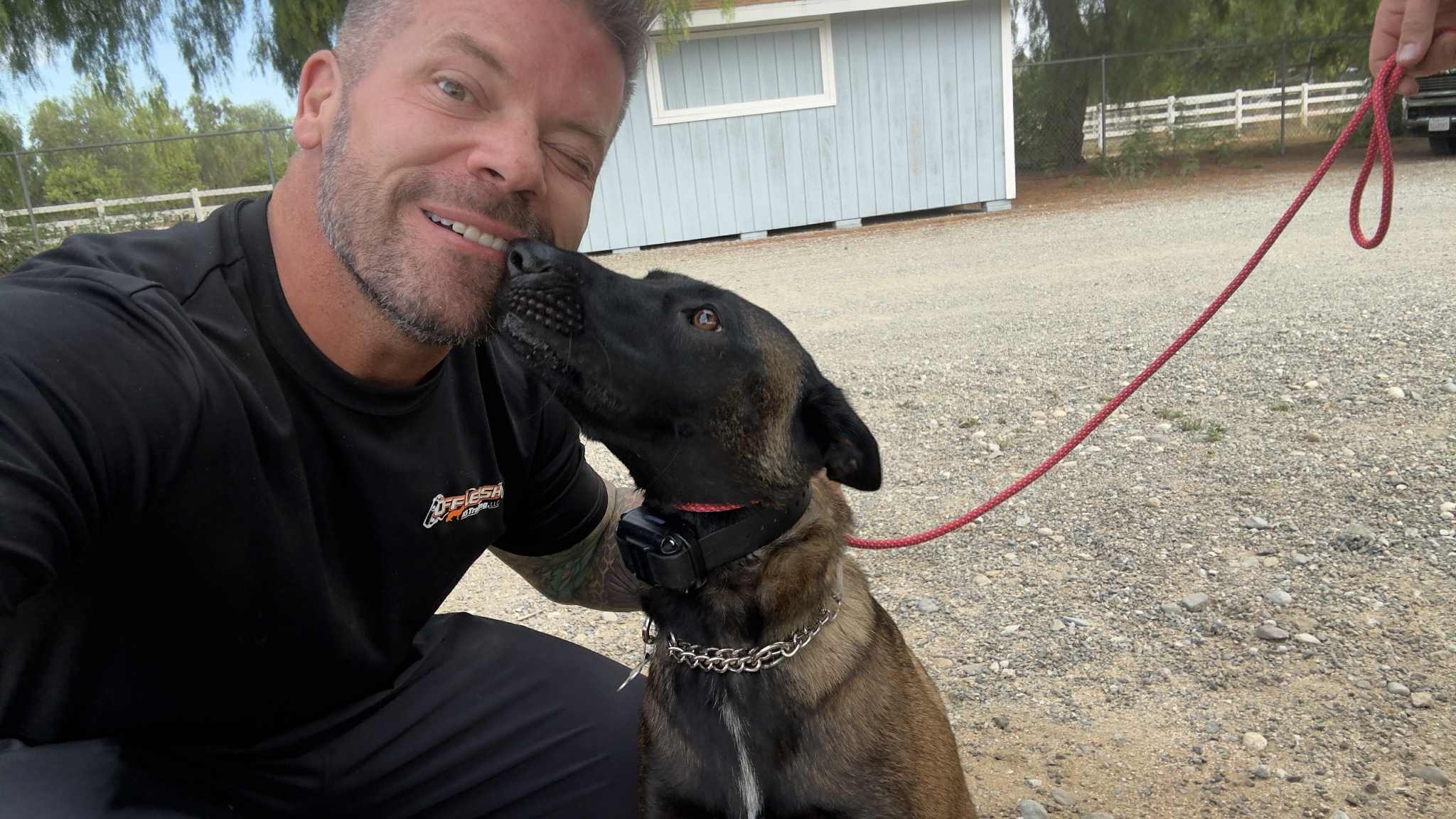Dog Training Graduate